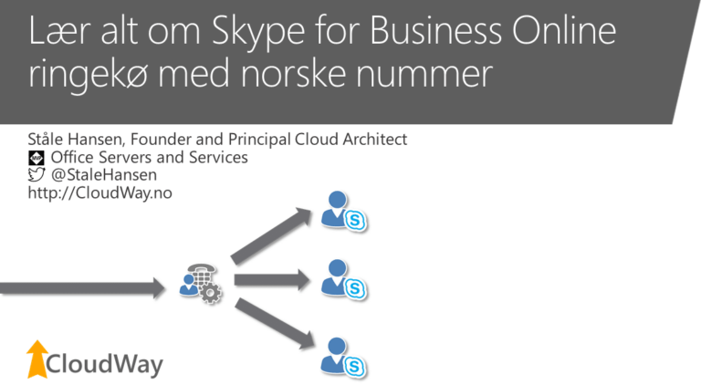 Webinar about Skype