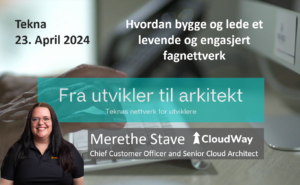 Fra utvikler til arkitekt