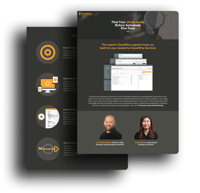 proactive security monitoring